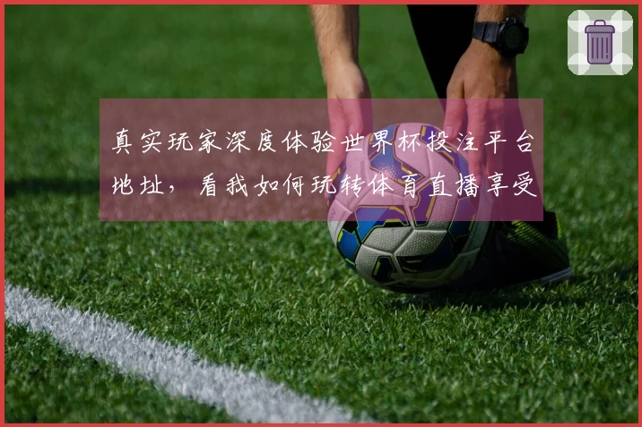 真实玩家深度体验世界杯投注平台地址，看我如何玩转体育直播享受精彩赛事