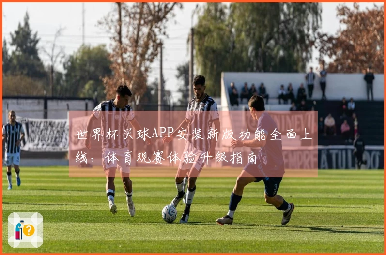 世界杯买球APP安装新版功能全面上线，体育观赛体验升级指南