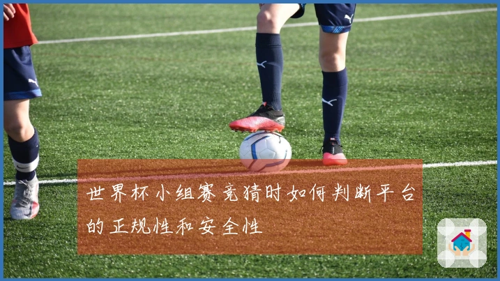 世界杯小组赛竞猜时如何判断平台的正规性和安全性