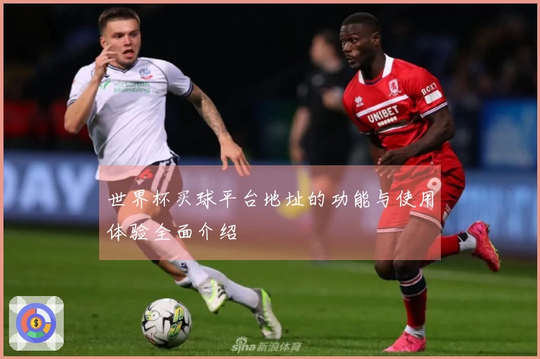 世界杯买球平台地址的功能与使用体验全面介绍