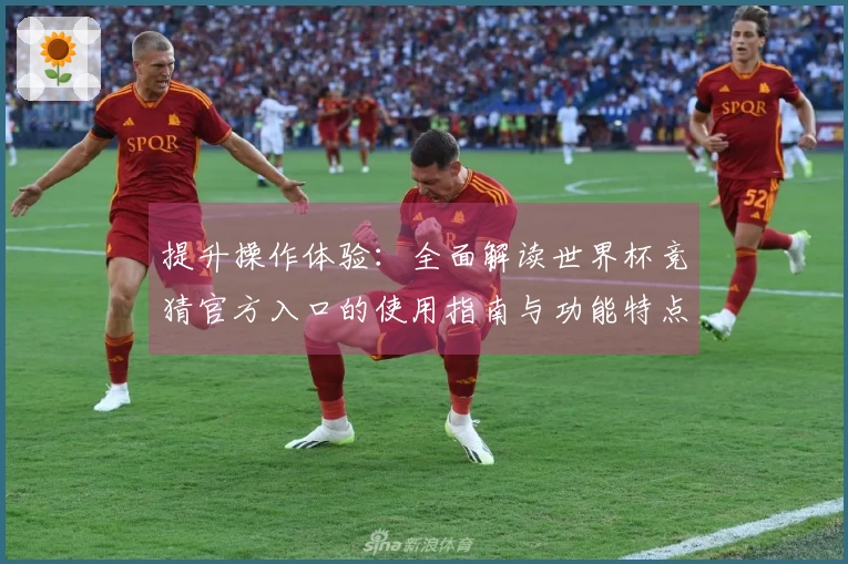 提升操作体验：全面解读世界杯竞猜官方入口的使用指南与功能特点