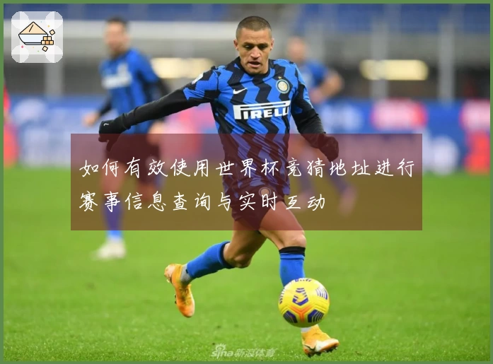 如何有效使用世界杯竞猜地址进行赛事信息查询与实时互动