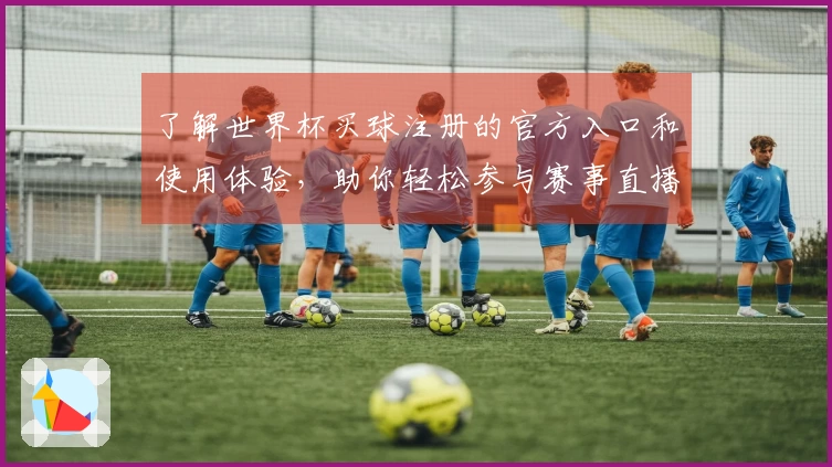 了解世界杯买球注册的官方入口和使用体验，助你轻松参与赛事直播