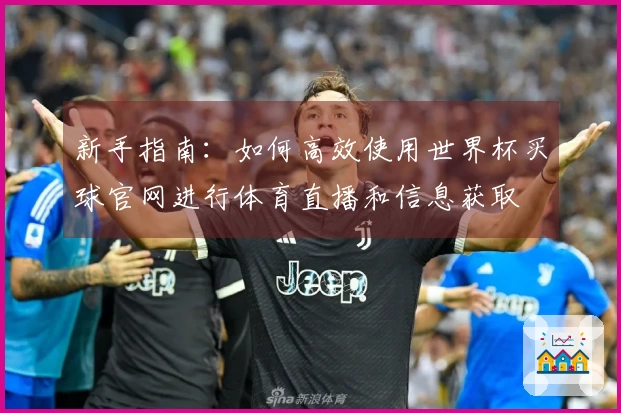 新手指南：如何高效使用世界杯买球官网进行体育直播和信息获取