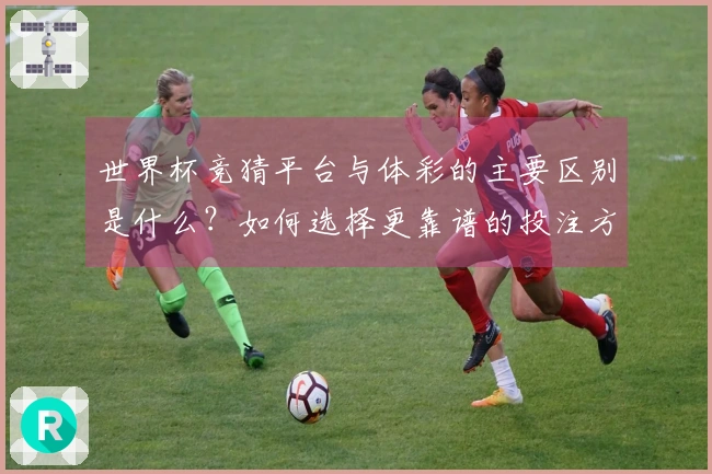 世界杯竞猜平台与体彩的主要区别是什么？如何选择更靠谱的投注方式？