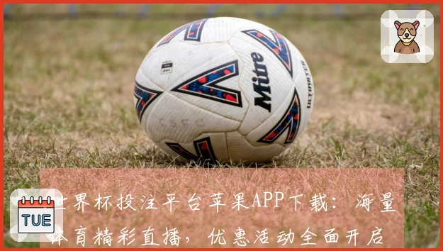 世界杯投注平台苹果APP下载：海量体育精彩直播，优惠活动全面开启等你体验