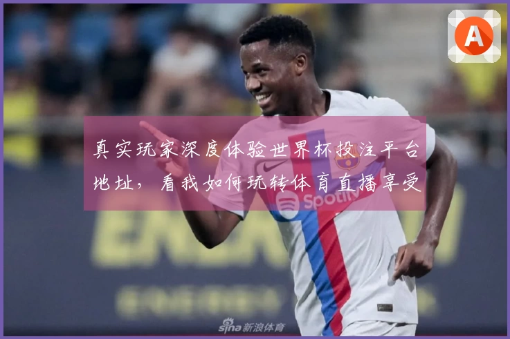 真实玩家深度体验世界杯投注平台地址，看我如何玩转体育直播享受精彩赛事