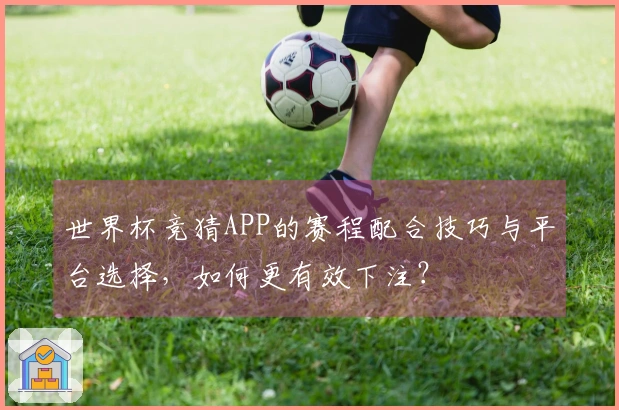 世界杯竞猜APP的赛程配合技巧与平台选择，如何更有效下注？