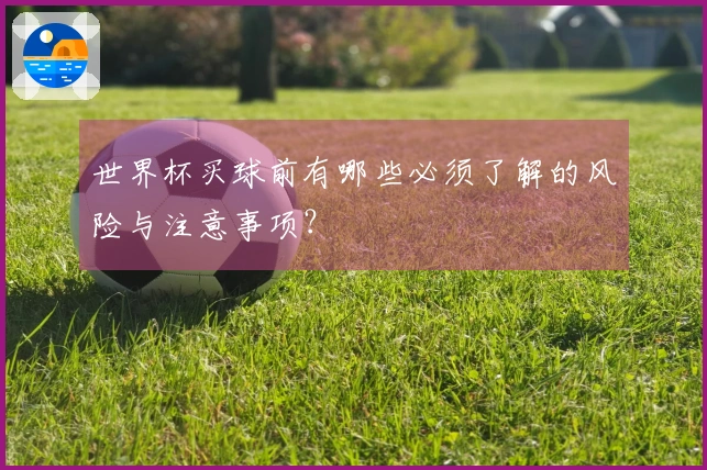 世界杯买球前有哪些必须了解的风险与注意事项？