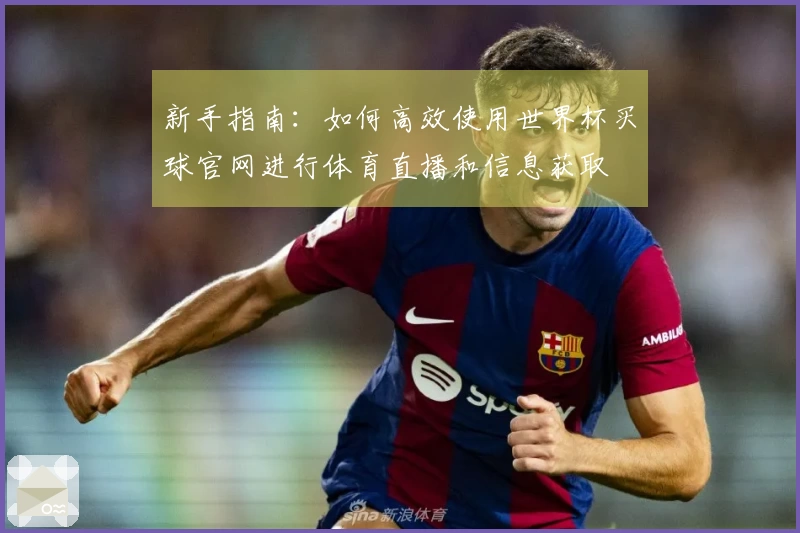 新手指南：如何高效使用世界杯买球官网进行体育直播和信息获取